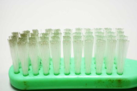 Mold on Toothbrush: Fungus On Your Toothbrush